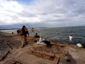 thumbs/P5290410-Odessa-plage.JPG