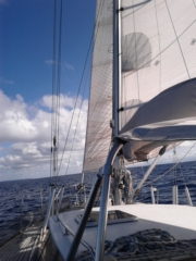 thumbs/sailing_guadeloupe_ovni_39_img_20120125_154902.jpg