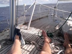 thumbs/sailing_guadeloupe_ovni_39_img_20120125_160314.jpg