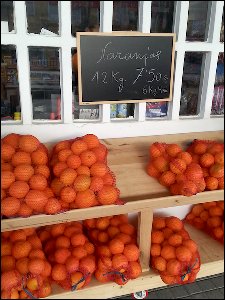 20151216_170824-oranges