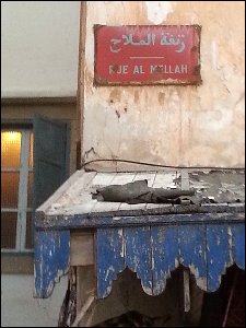 thumbs/20160115_174939-Quartier-Mellah-Essaouira.jpg