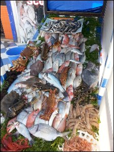 thumbs/20160116_160027-resto-poisson-Essaouira.jpg