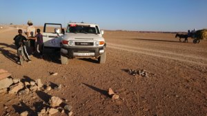 thumbs/dsc_0887-Rallye-du-Maroc-2019-fabourg-Boudnib.jpg