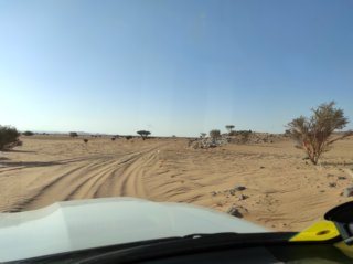 le-desert-est-sillonne-de-pistes-en-Saoudie.jpg