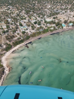 parc des iles Bazarutos, mer transparente-gyrocopter