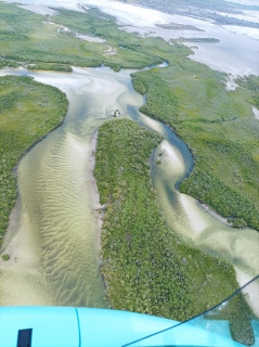mangrove autogire Mozambique