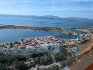 Leucate ulm